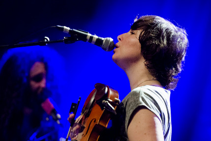 the wombats